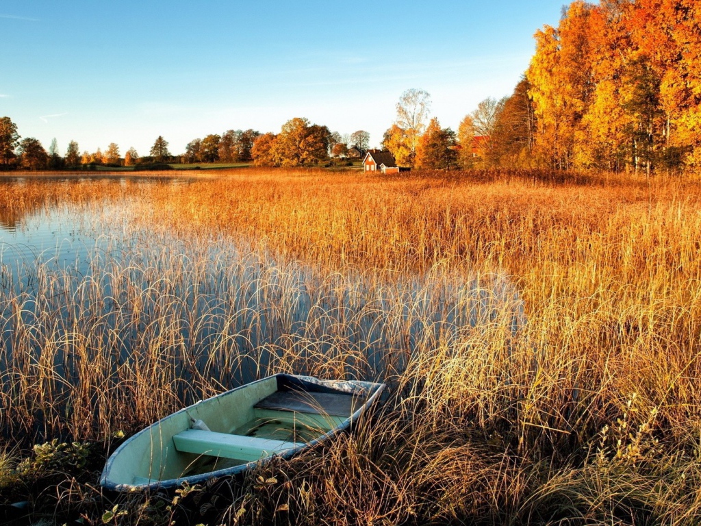Лодка у берега заболоченного озера
