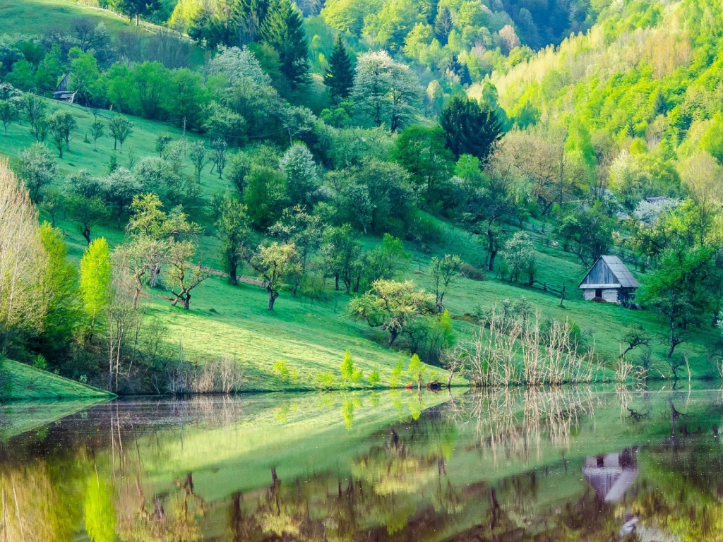 Зеленые склоны гор у озера