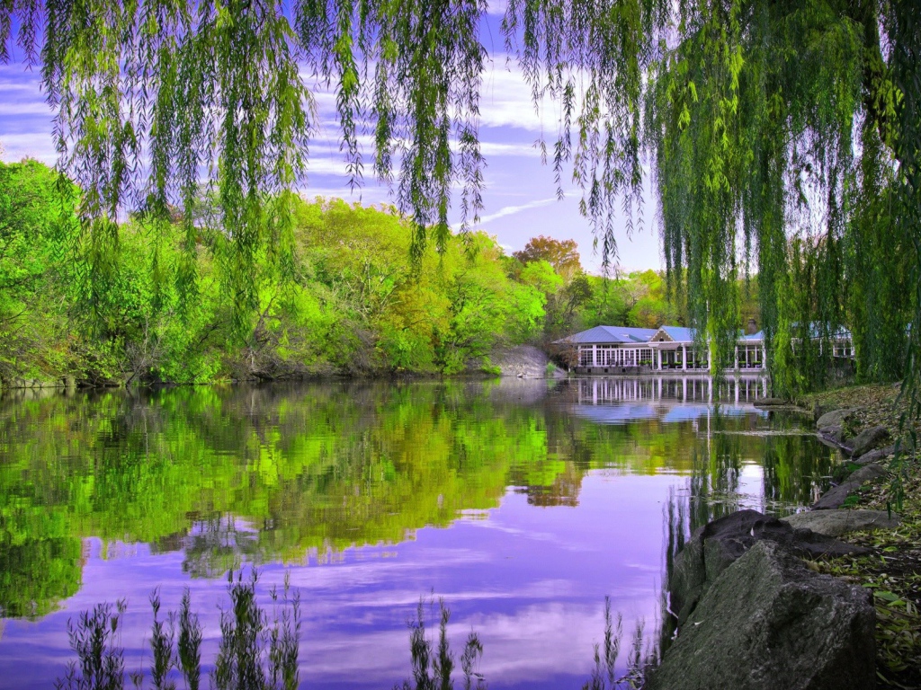 Дом отдыха у озера в лесу