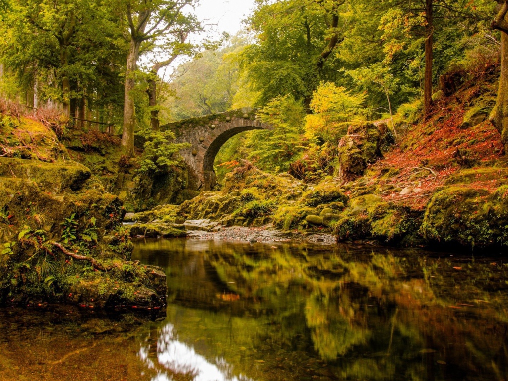 Старинный каменный мост над спокойной рекой в лесу