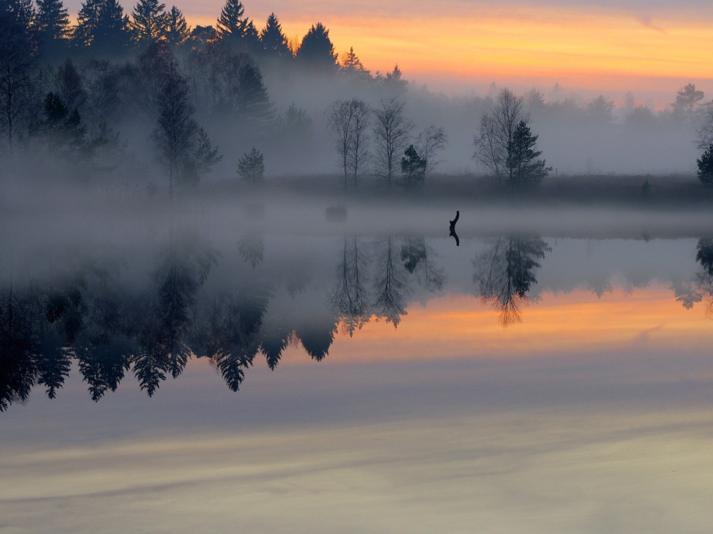 Густой утренний туман над небольшой рекой