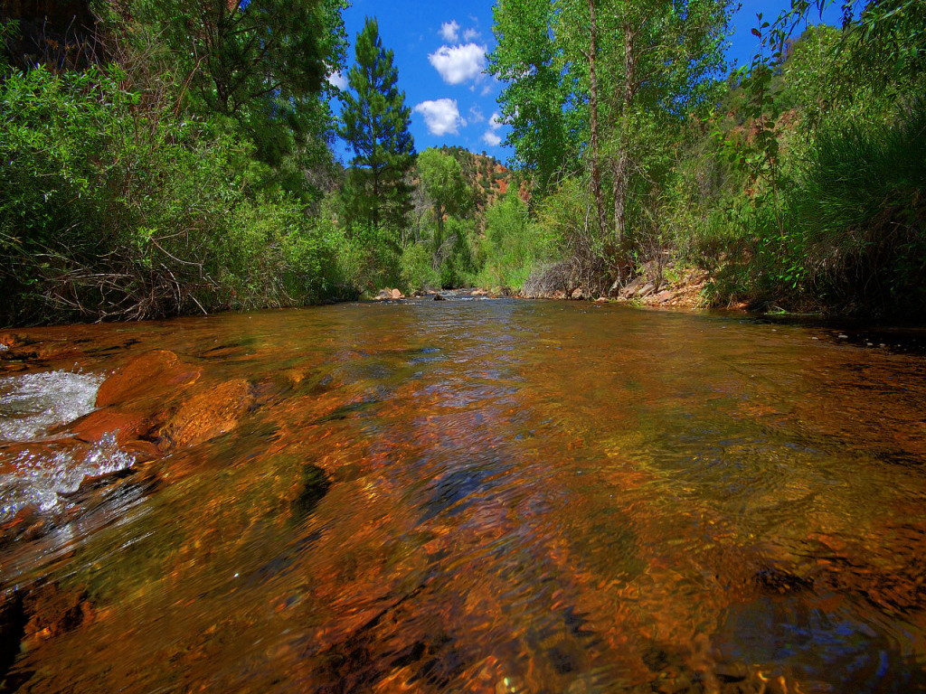 Прозрачная река в горах