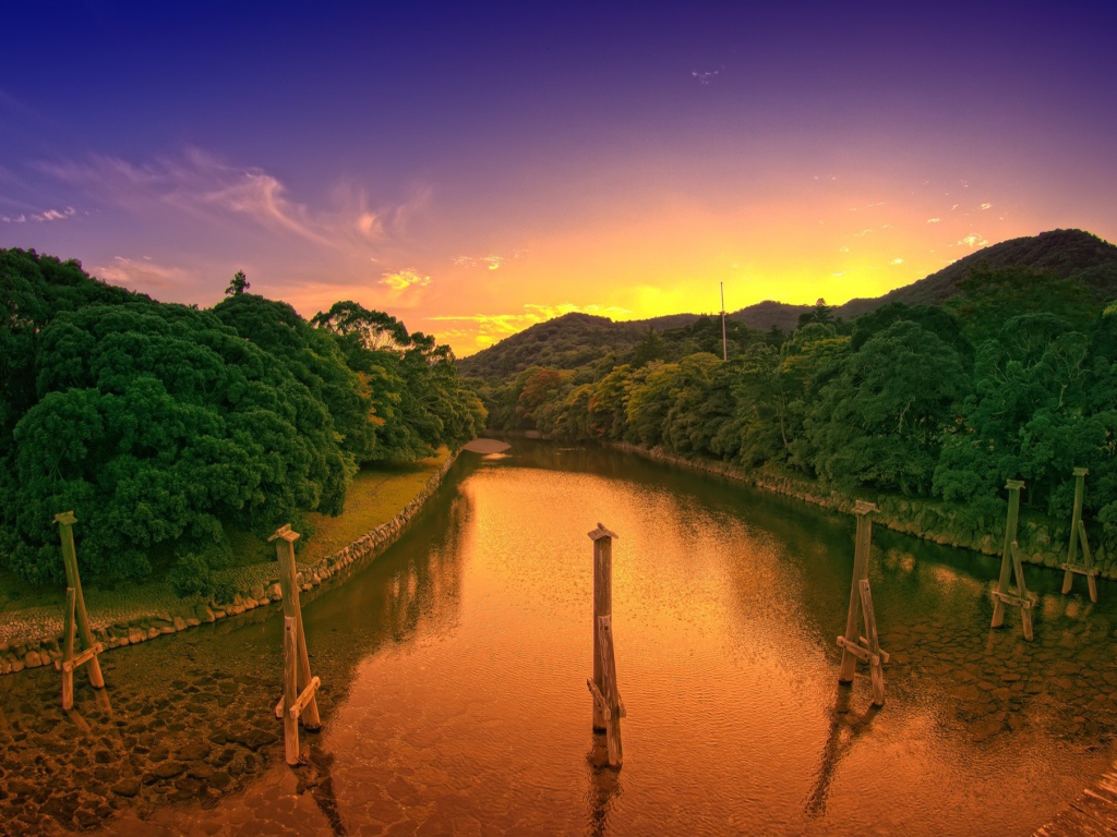 Деревянные столбы в канале