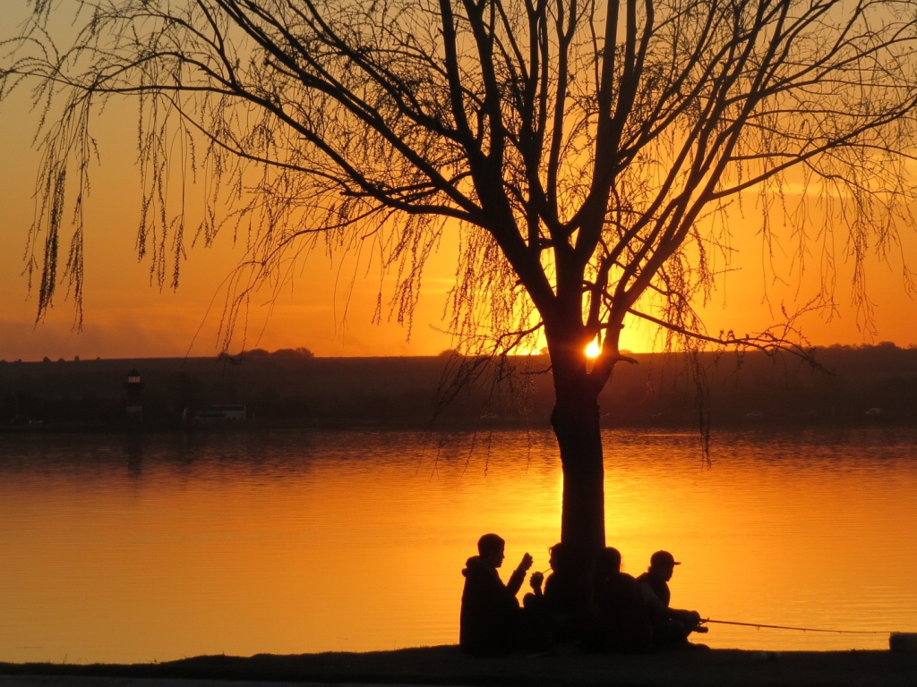 Рыбаки отдыхают под деревом на закате