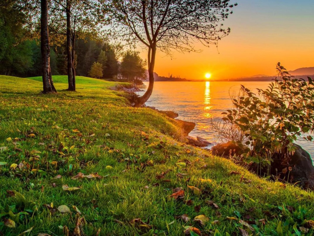 Зеленое побережье реки на закате