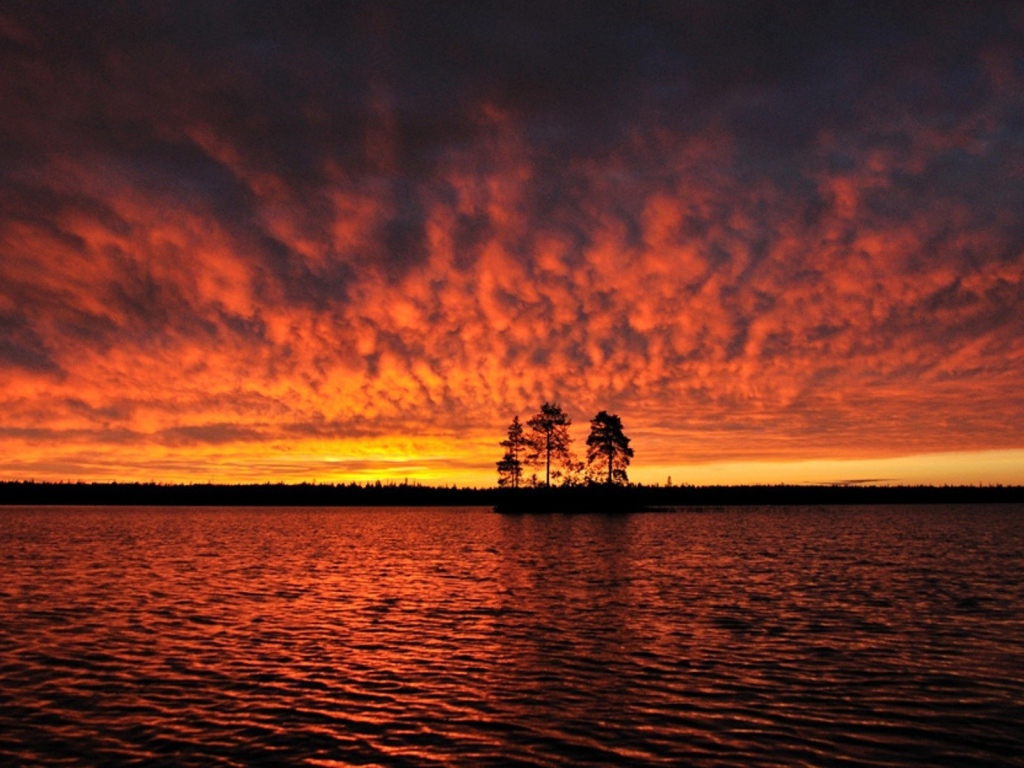 Силуэты деревьев на острове под горящим небом