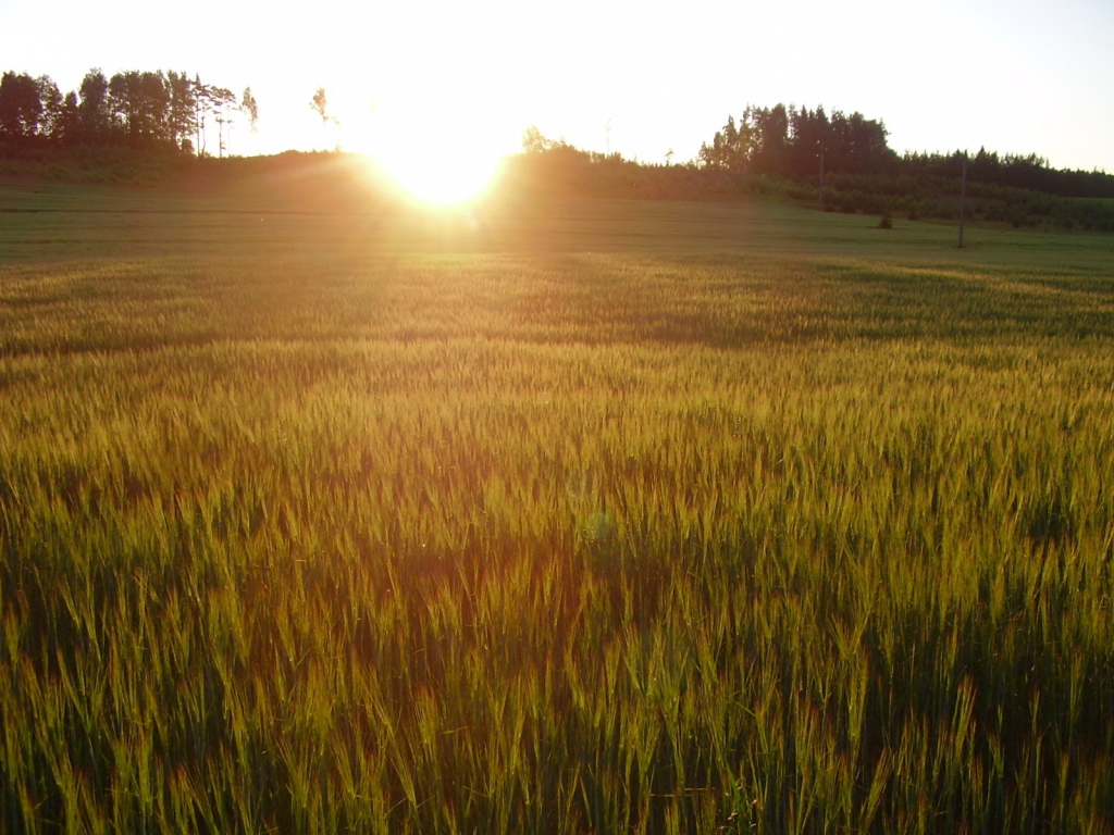 Солнце заходит за холм