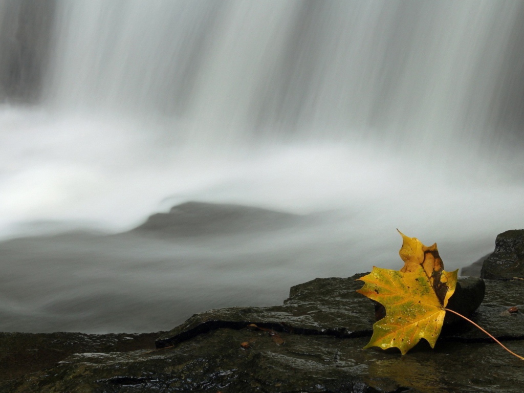 Осенний лист у водопада