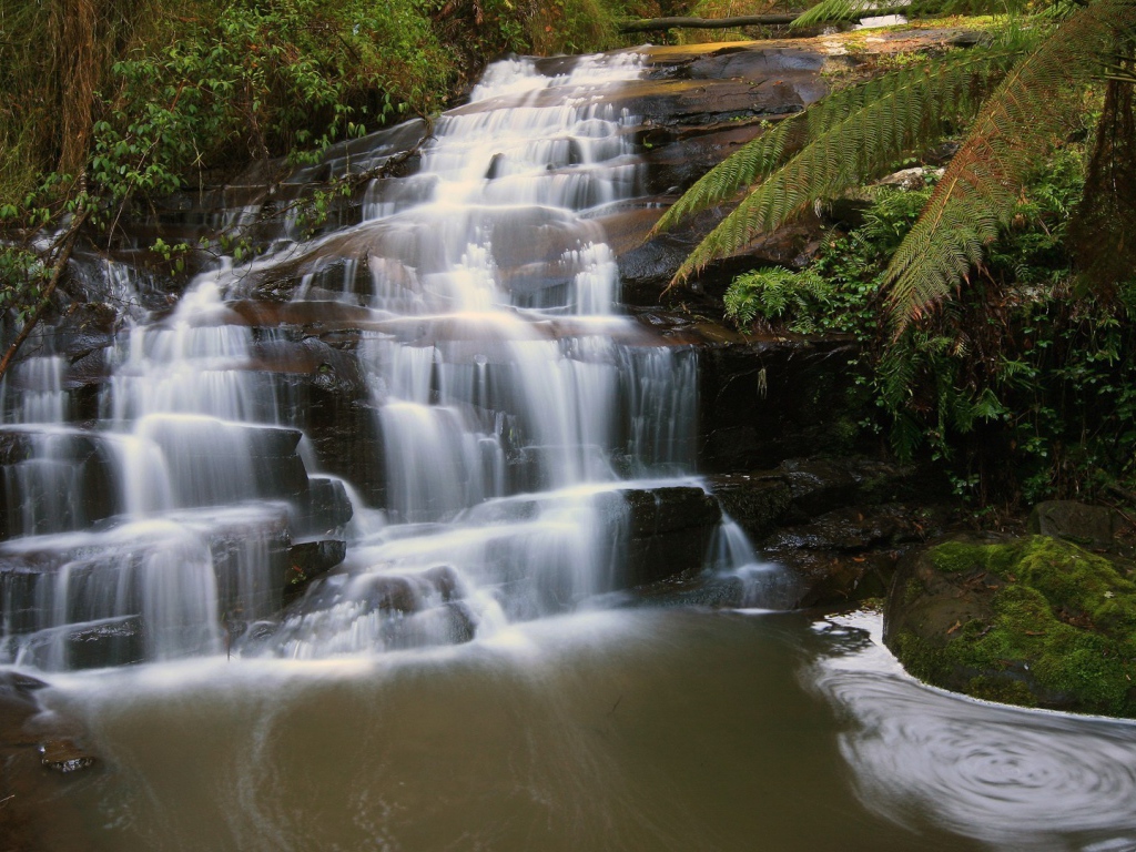 Водопад на черной скале в лесу