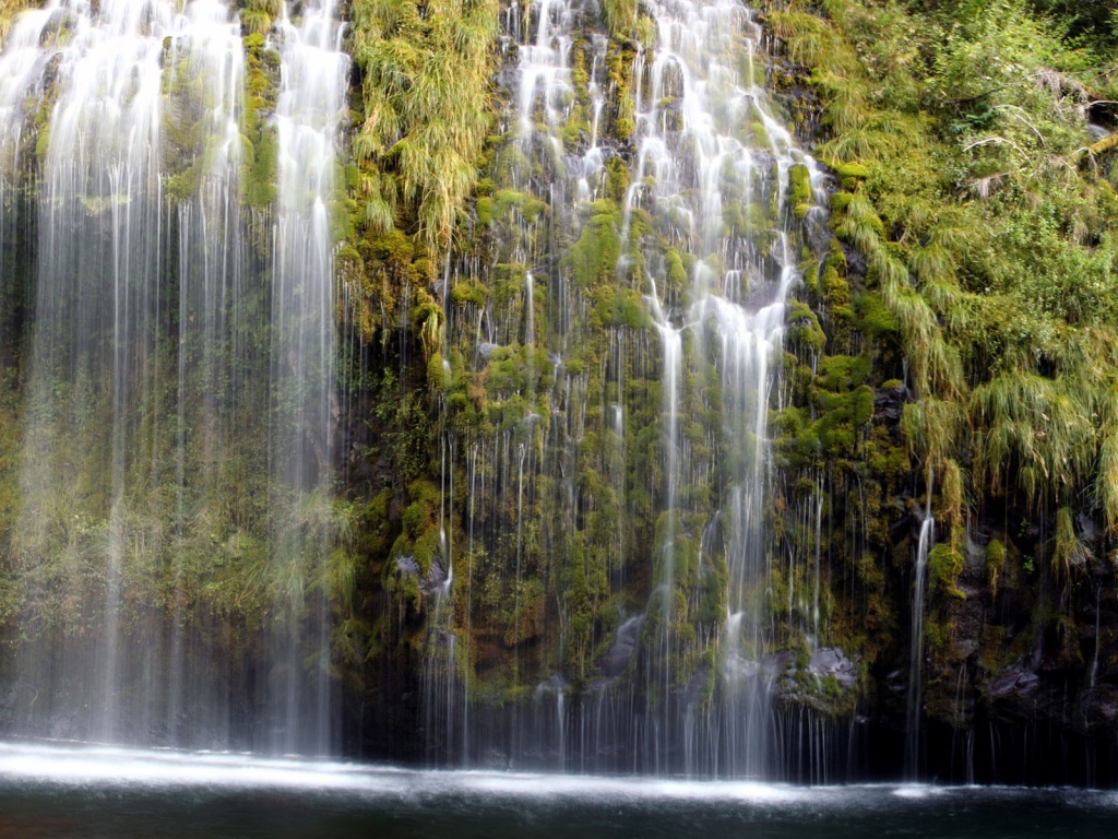 Водопад по зеленым зарослям