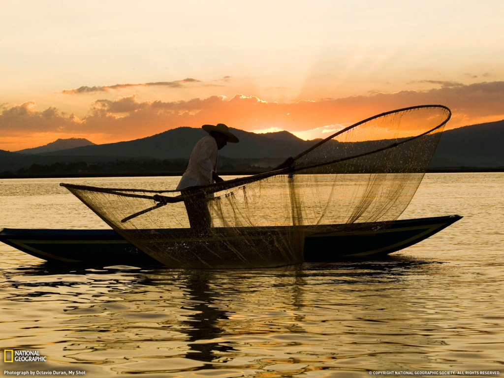 Рыбак закидывает сеть