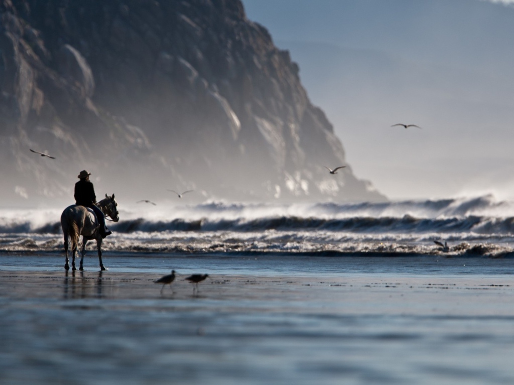 Одинокий всадник на берегу моря