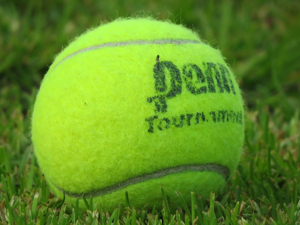 Теннисный мяч на газоне