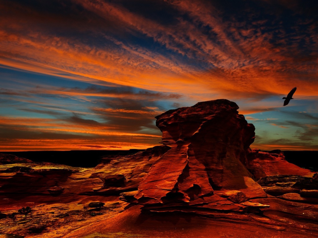 Орел над красной скалой в Чили