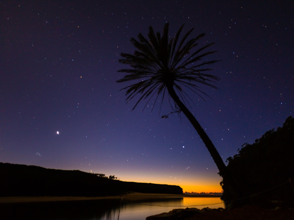 Пальма на фоне звезд в Австралии