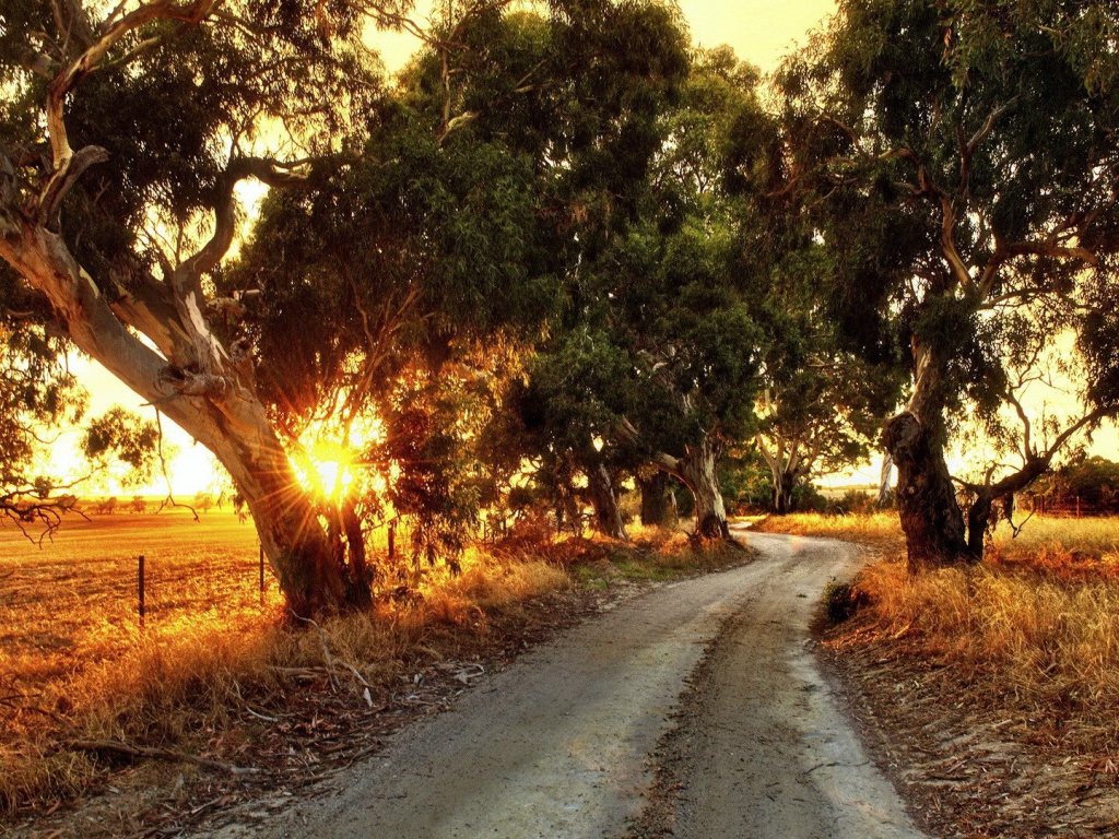 Rural road in Australia