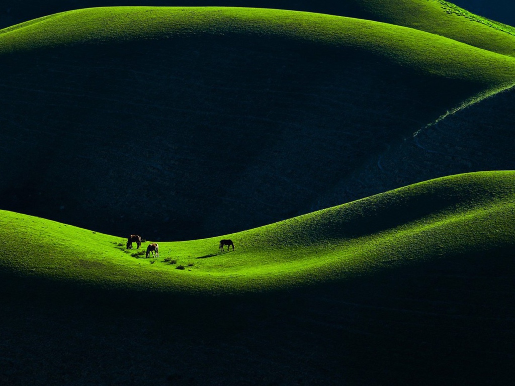 Горное пастбище в Китае