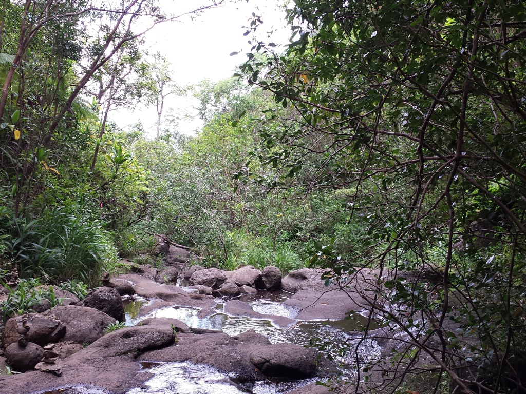 Река в Ka‘Au Crater, Гавайи