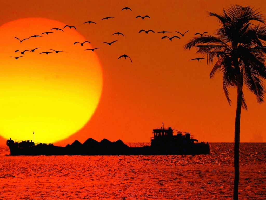 Вечером в Гоа, Индия