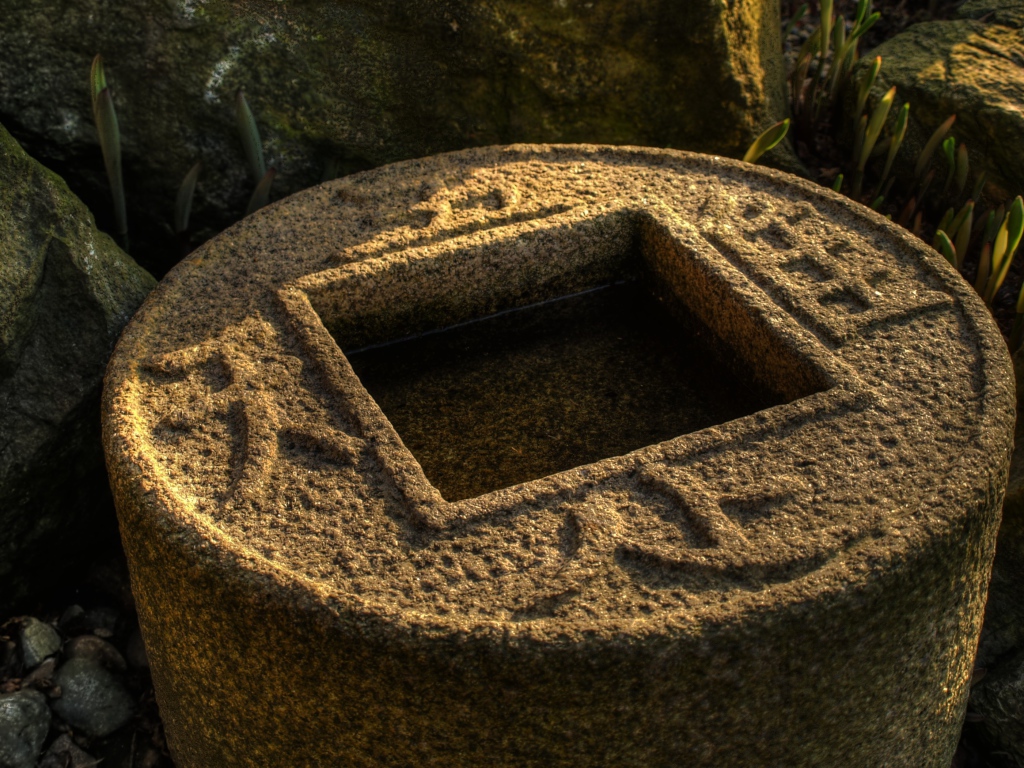 Водоем в японском саду