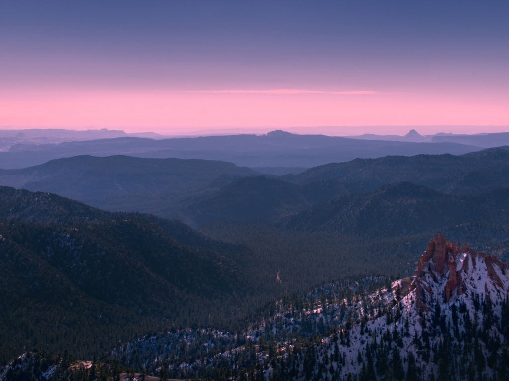 Покрытый лесом каньон Брюса в Юте