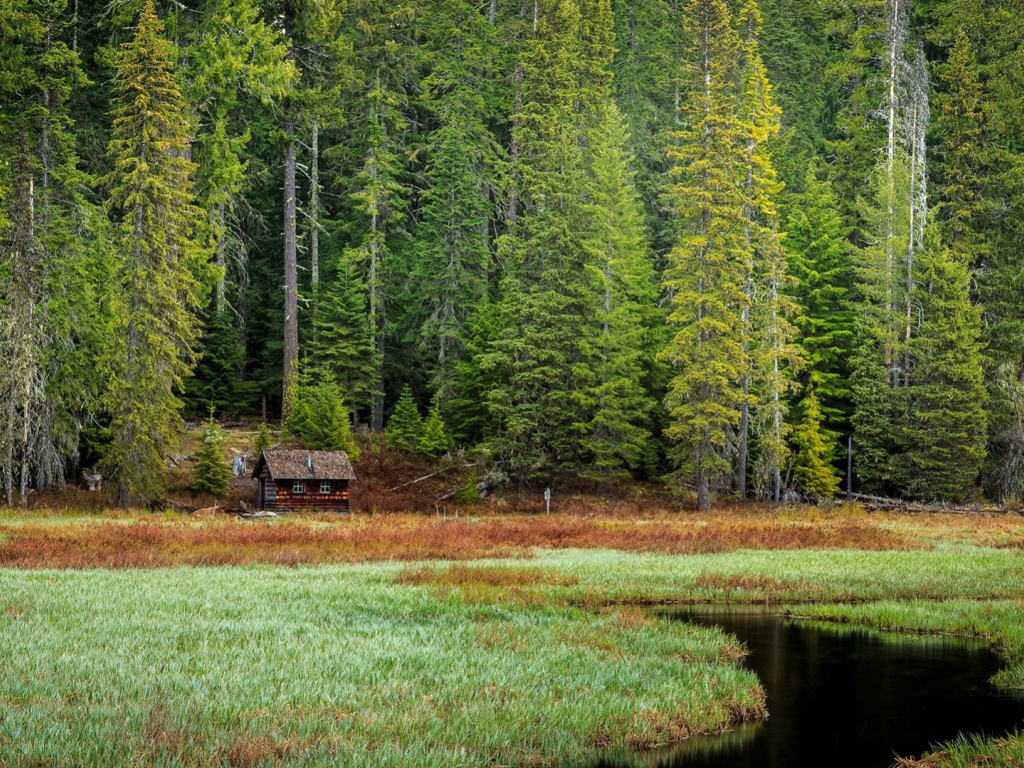 Избушка на опушке леса, Орегон