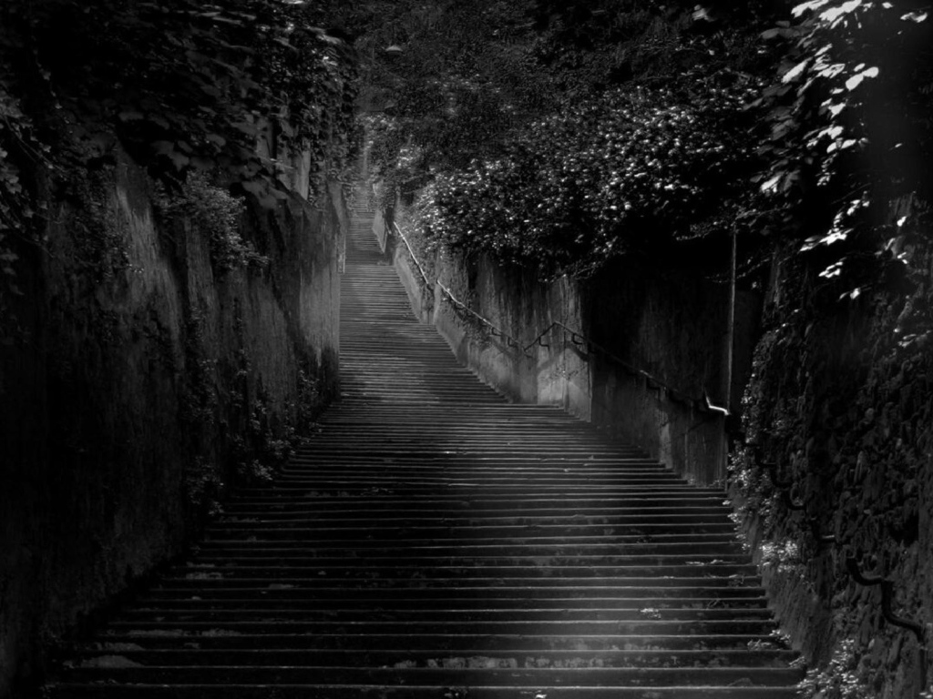 Черная лестница среди черных зарослей