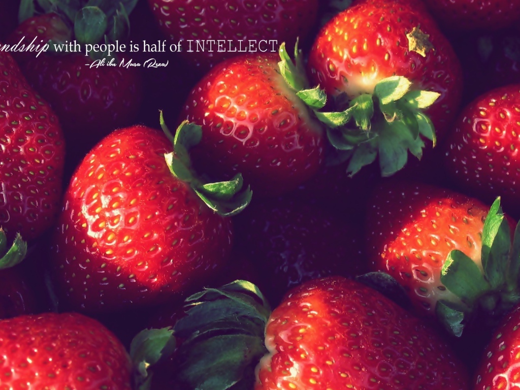 Дружелюбие, это часть интеллекта