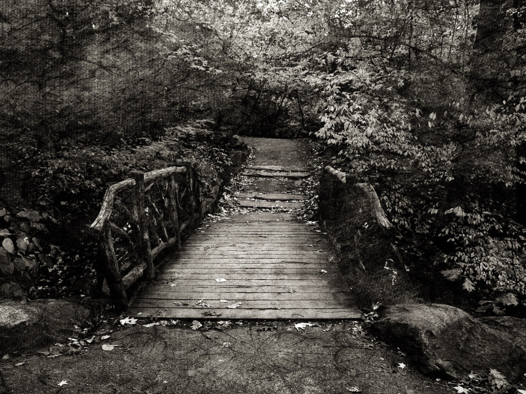 Эффект холста на черно белом фото