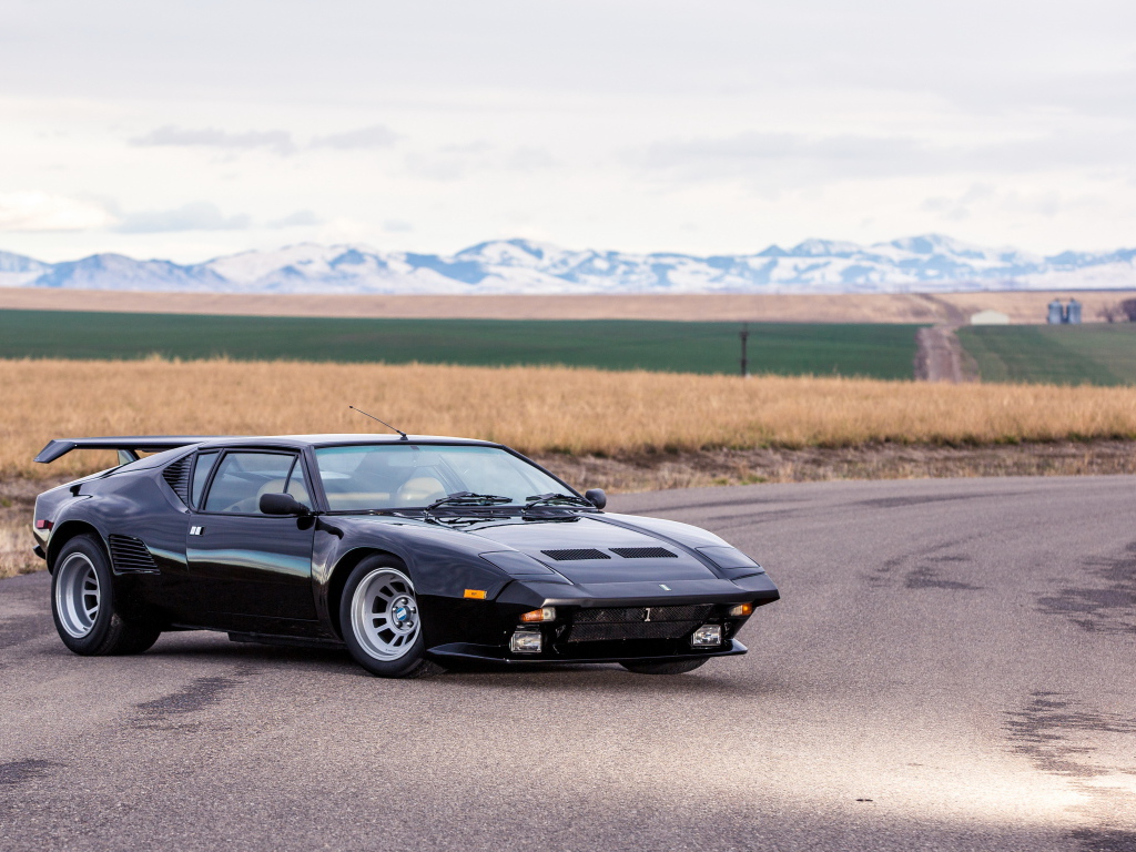 Black fast car De Tomaso Pantera against the background of the field