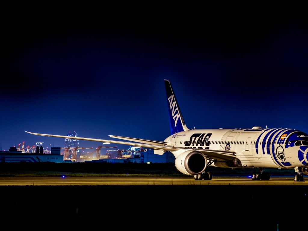 Самолет Boeing 787 в аэропорту 