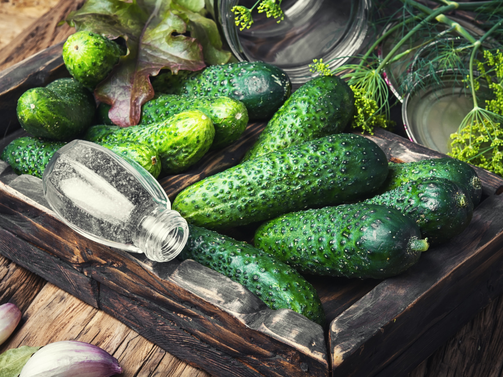Свежие зеленые огурцы со специями на столе