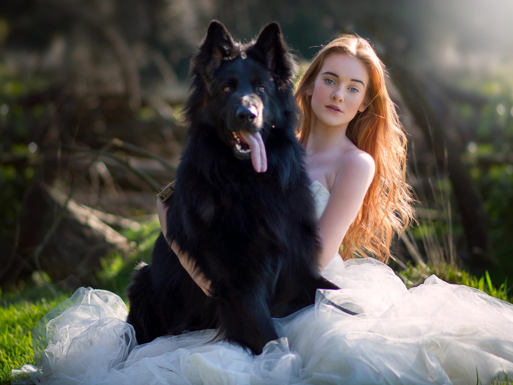 Красивая девушка невеста с большой черной собакой