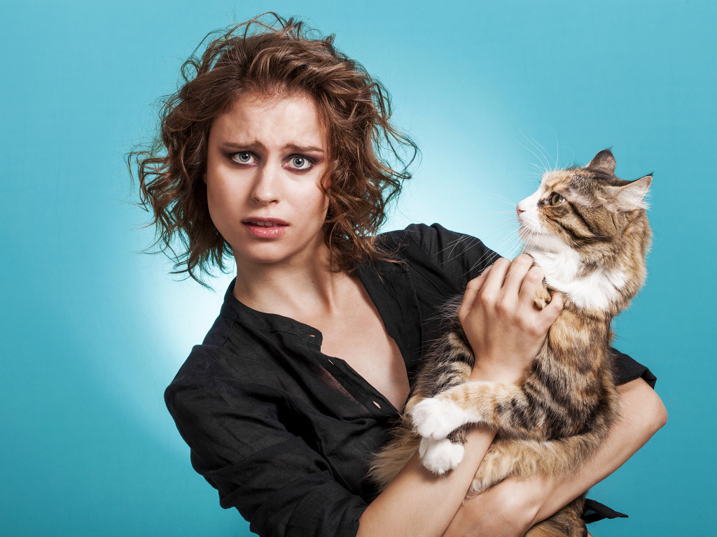 Молодая девушка шатенка с большим котом  на голубом фоне