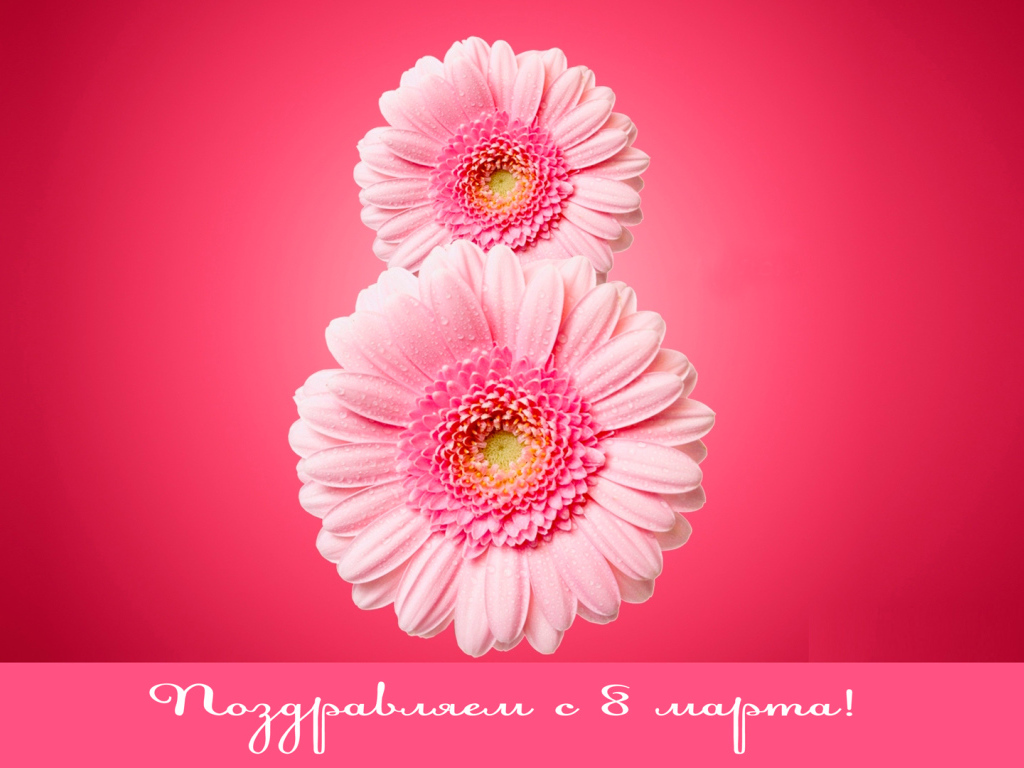 Восьмерка из гербер на 8 Марта