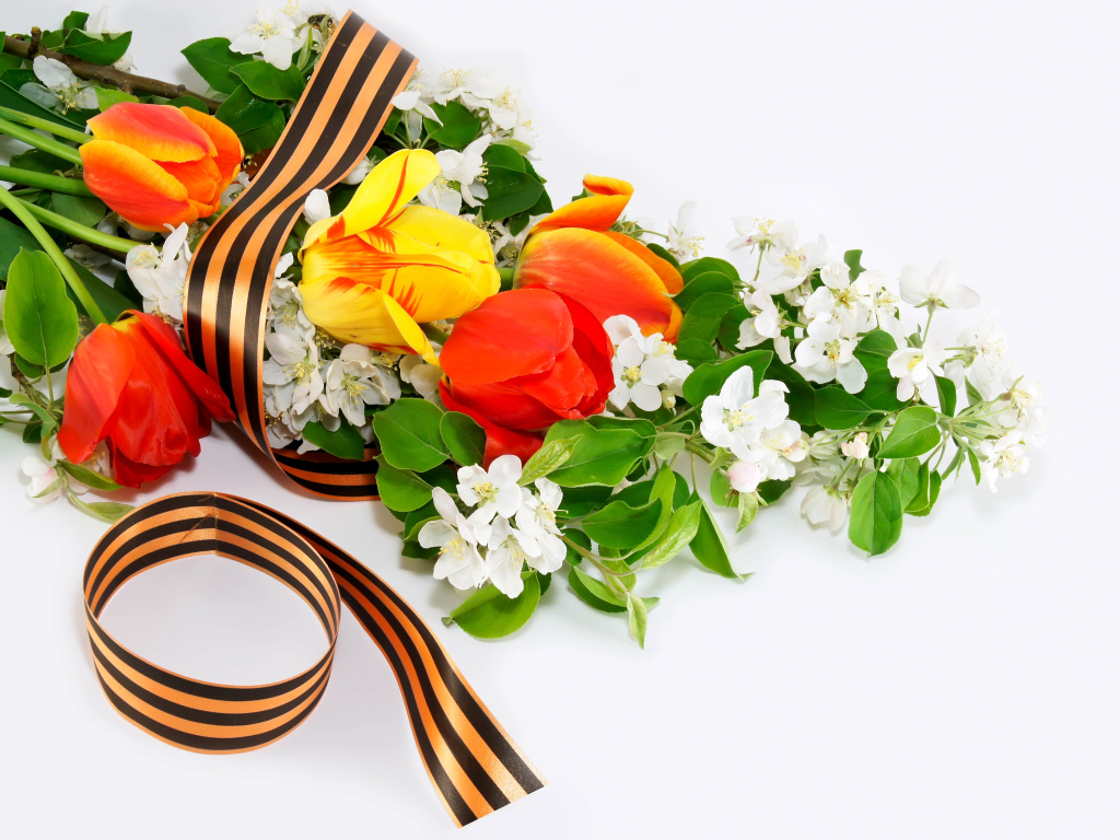 Цветы и георгиевская ленточка на 9 мая на белом фоне 