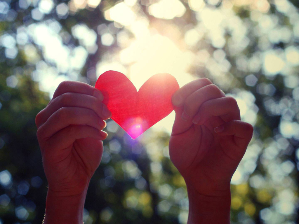 Бумажное сердце в руках 