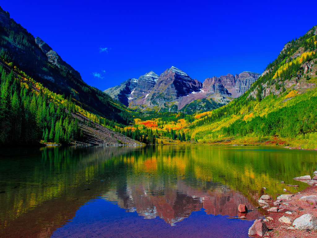 Красивая зеленая природа у водоема в горах 