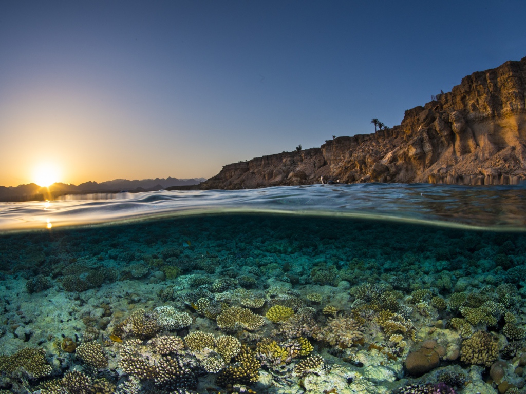 Кораллы в прозрачной морской воде в лучах солнца на рассвете