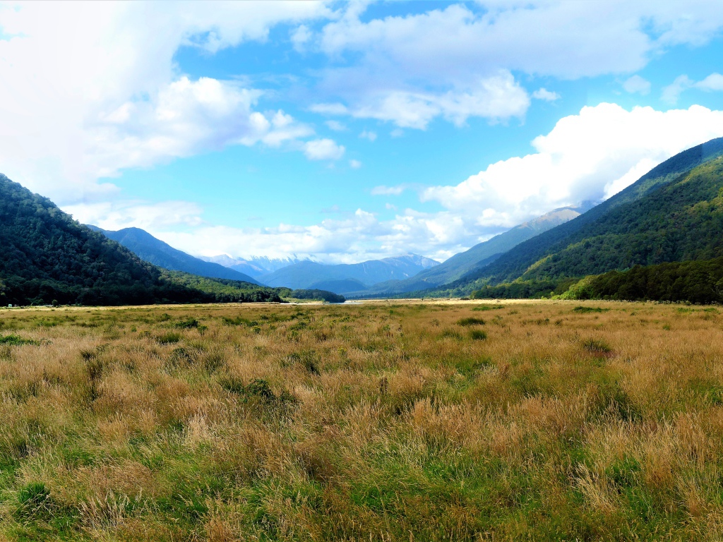 Зеленые природные просторы Новой Зеландии 