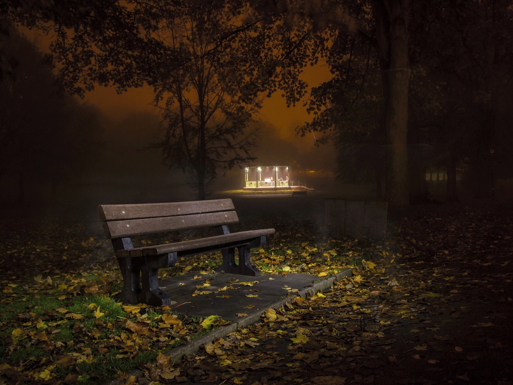 Одинокая скамейка в осеннем парке ночью