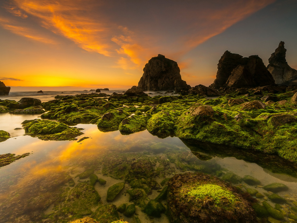 Покрытые мхом камни на морском берегу под красивым небом