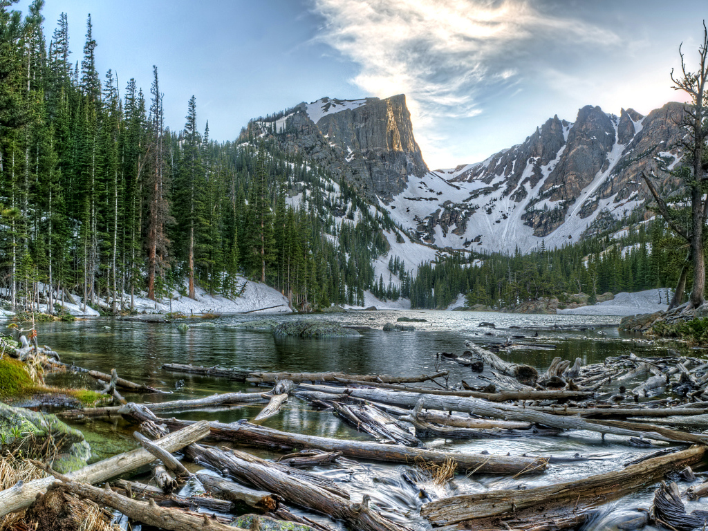 Старые бревна в воде на фоне заснеженных гор