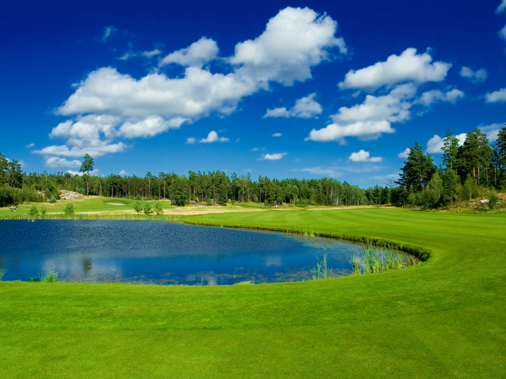 Пруд в парке у зеленого газона на фоне голубого неба