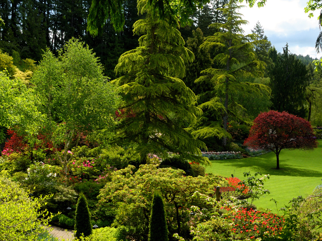 Живописный зеленый парк Канады