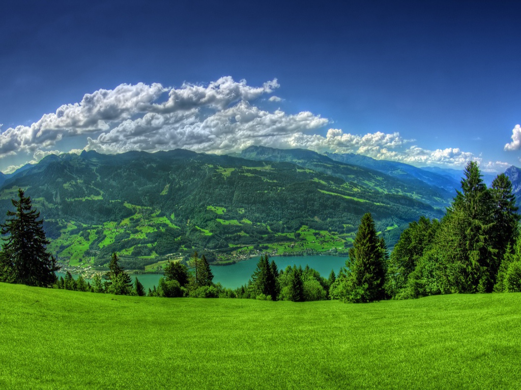 Живописная зеленая природа на фоне белых облаков 