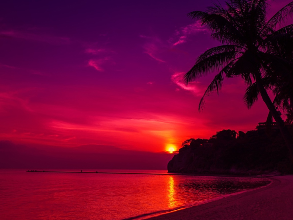 Пальмы на пляже под розовым закатом 