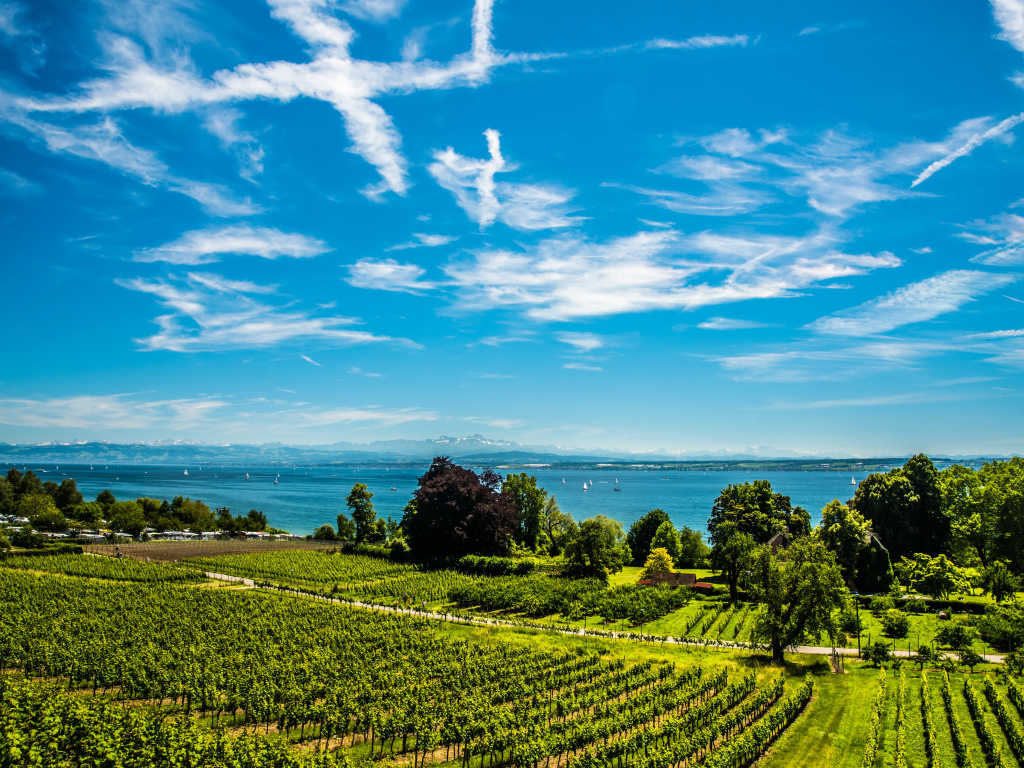 Красивые белые облака в небе над полем и озером