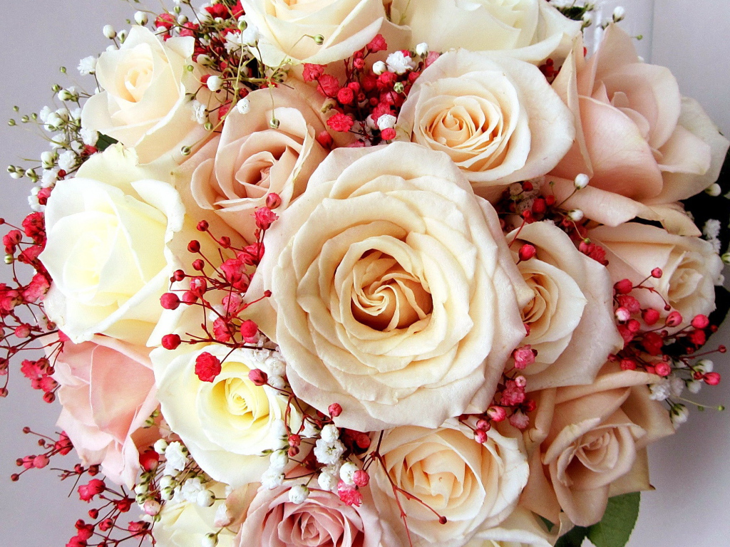 Красивый букет нежных роз кремового цвета 