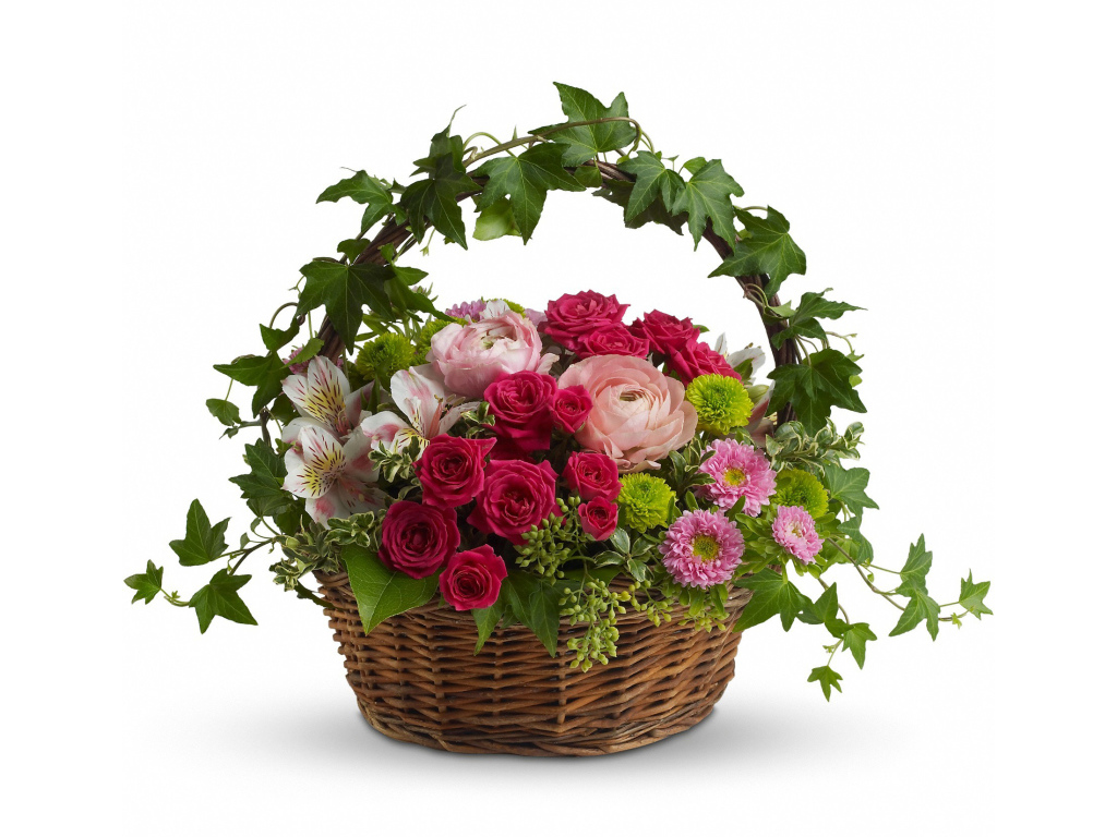 Корзина со свежими цветами на белом фоне